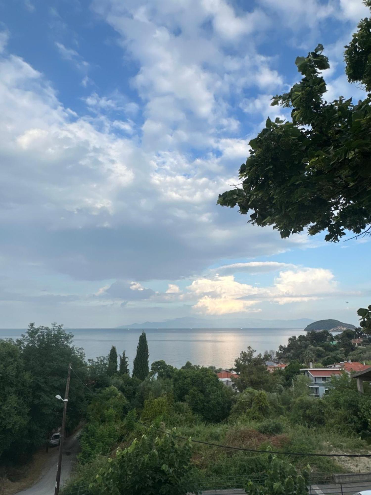 Olivia -Ελιά Apartamento PalaiónTsiflíkion Exterior foto