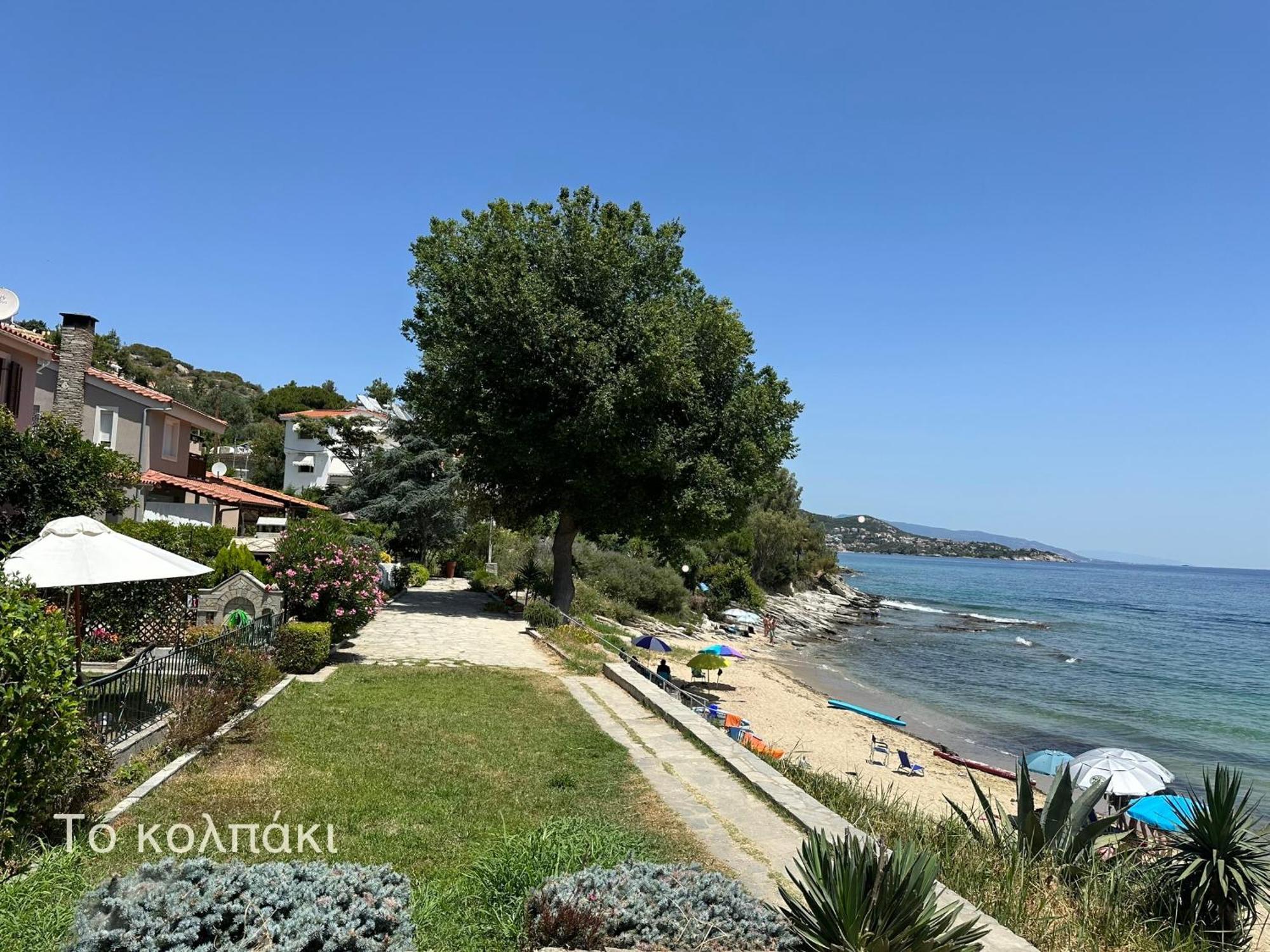 Olivia -Ελιά Apartamento PalaiónTsiflíkion Exterior foto